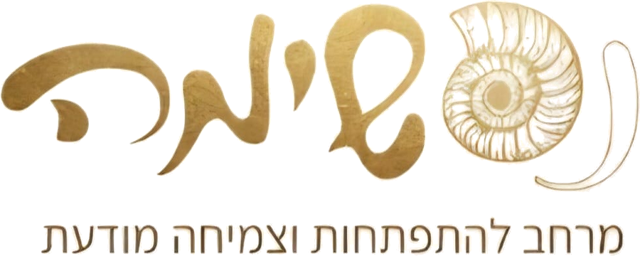 נפשימה, מרחב להתפתחות וצמיחה מודעת